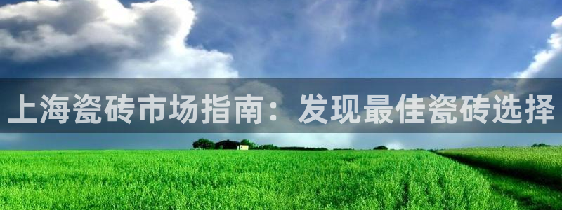 杏鑫官方平台怎么样啊知乎