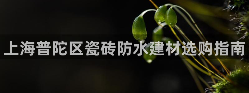 杏鑫平台招商电话号码查询