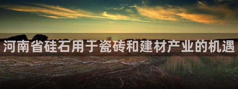 杏鑫招商总代