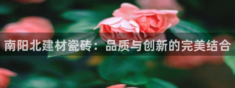 杏鑫娱乐多少年了