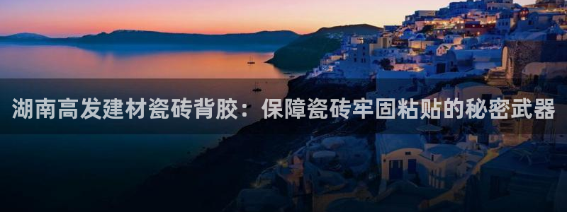 杏鑫娱乐开发团队