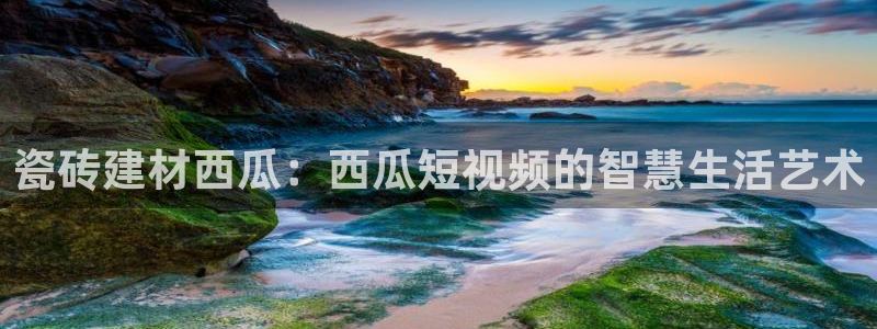 杏鑫官方app代理