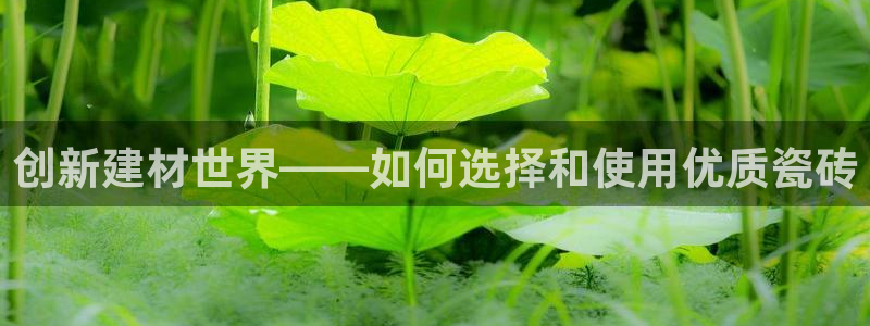 杏鑫平台代理怎么做
