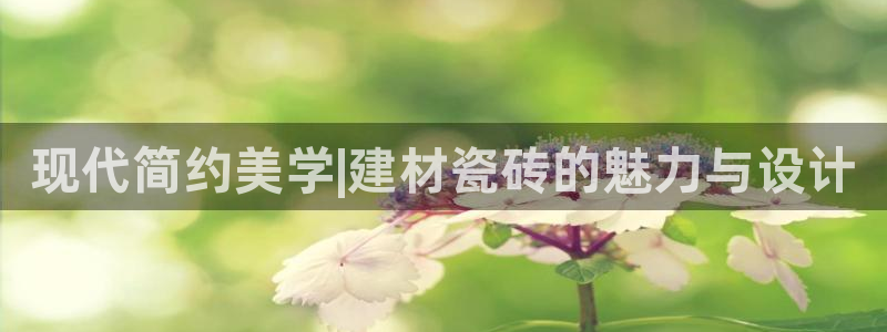 杏鑫官网最新信息新闻