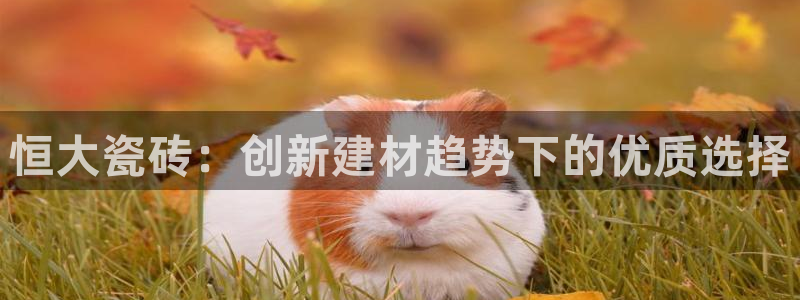 杏鑫娱乐是合法的吗?