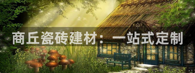 杏鑫主管