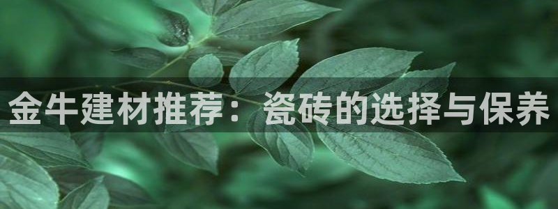 杏鑫手机客户端怎么下载