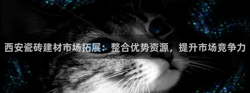 杏鑫平台登陆
