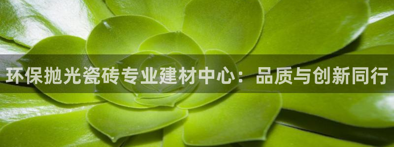 杏鑫平台平台娱乐