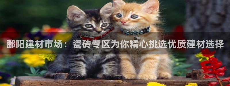 杏鑫平台怎么样黑钱吗是真的吗