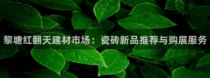 杏鑫娱乐开发团队