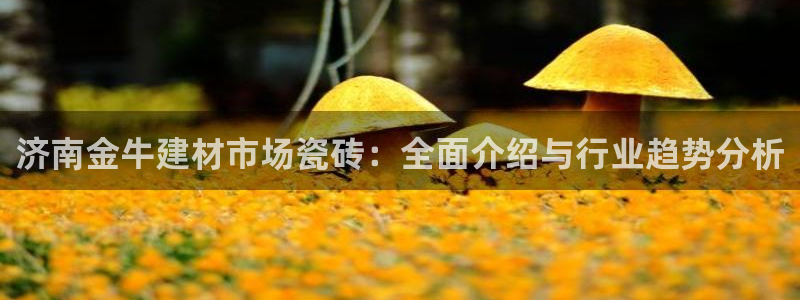 杏鑫手机客户端