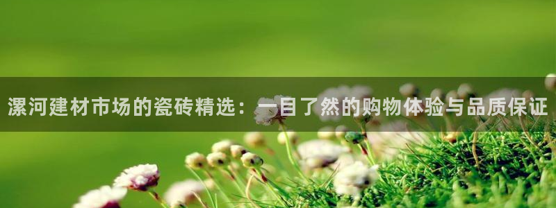 杏鑫招商总代