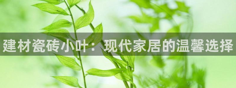 杏鑫平台正规吗