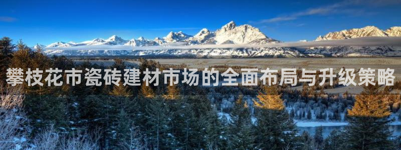 杏鑫平台是黑平台吗是真的吗