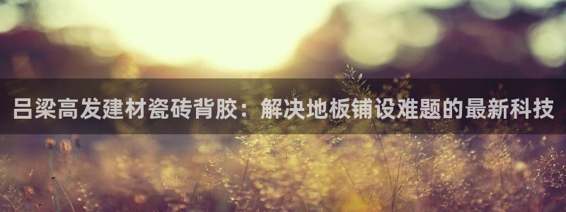 杏鑫手机客户端