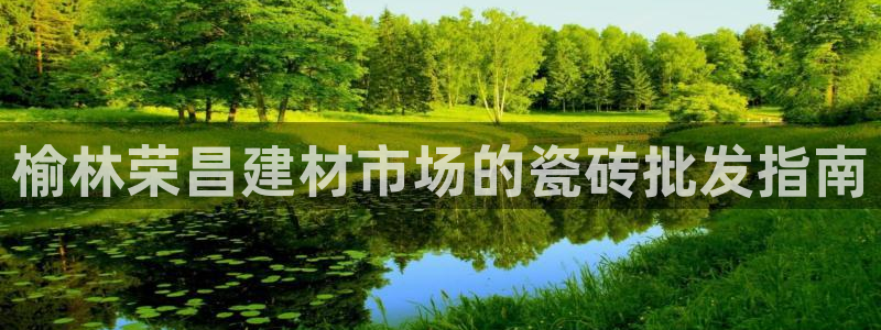 杏鑫注册登录平台是什么