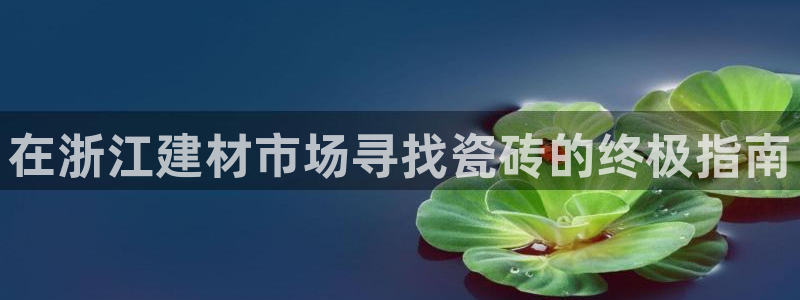 杏鑫平台注册入口在哪