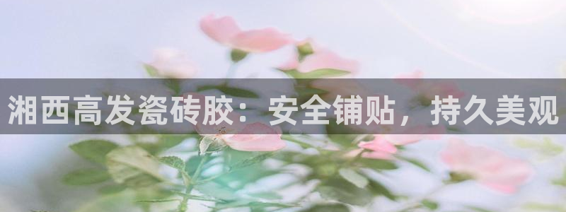 杏鑫平台在线注册流程