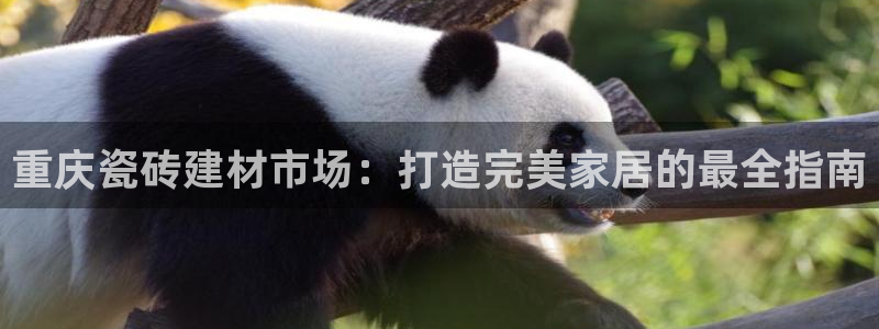 杏鑫平台代理注册多少钱一年