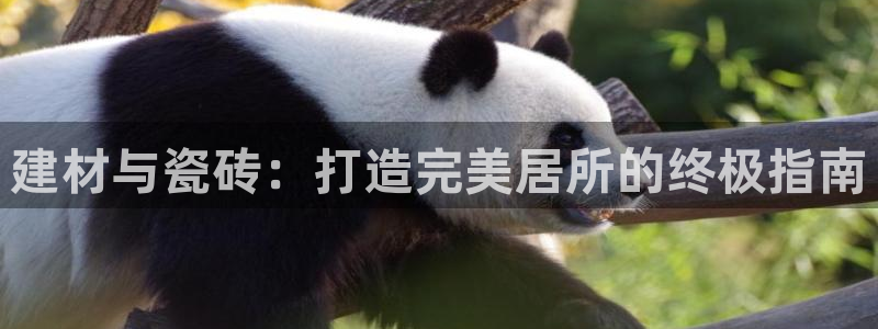 杏鑫平台代理注册流程及费用