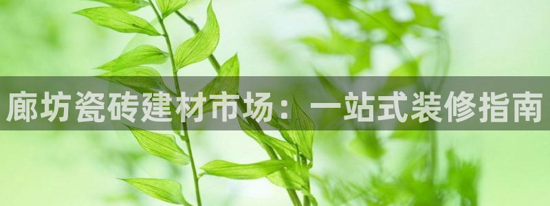 杏鑫平台代理注册登录不了怎么办呀苹果