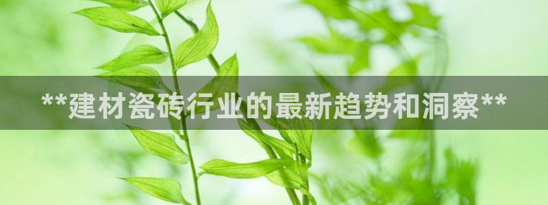 杏鑫代理注册资金多少