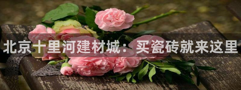 杏鑫平台在线注册怎么注册