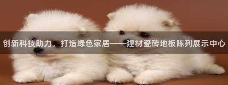 杏鑫官网注册账号怎么注册