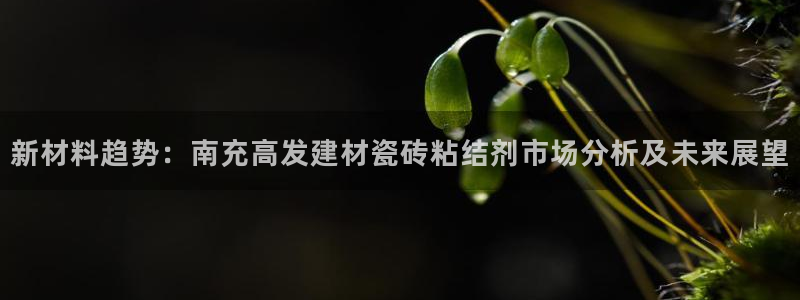 杏鑫官网注册账号密码