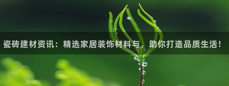 杏鑫平台登录地址是什么