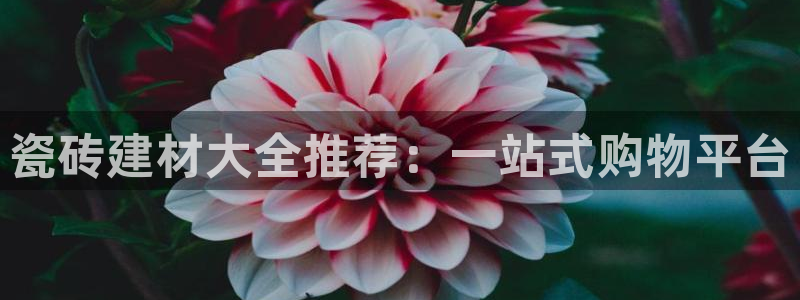 杏鑫平台代理注册多少钱