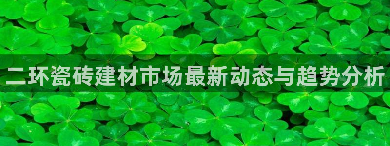 杏鑫平台代理注册流程视频