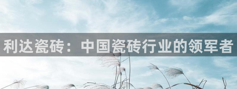 杏鑫注册登录代理