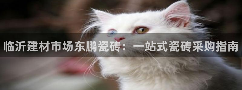 杏鑫平台代理注册登录不了怎么办呀