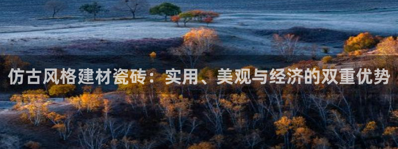 杏鑫代理注册登录