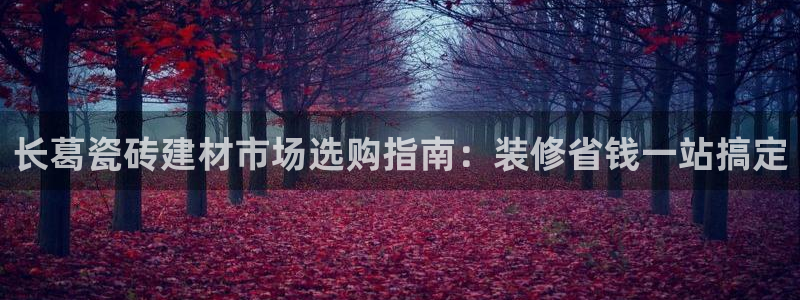 杏鑫平台注册地址是哪里