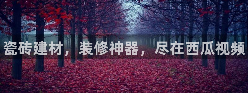 杏鑫注册登录代理公司