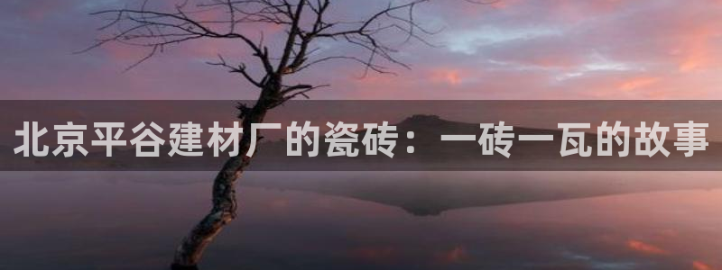 杏鑫平台代理注册流程图