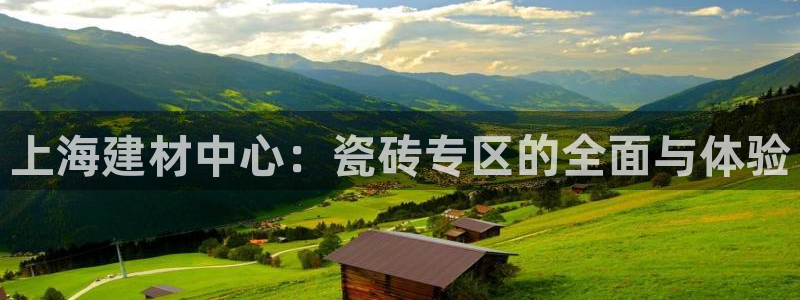 杏鑫平台登录地址查询