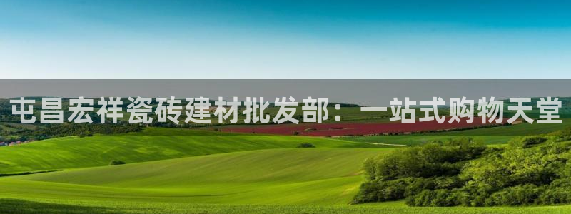 杏鑫娱乐平台登录注册网站