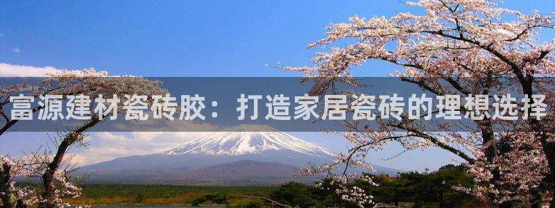 杏鑫有亏损返点吗