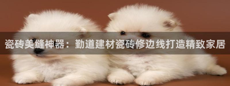 杏鑫平台注册入口