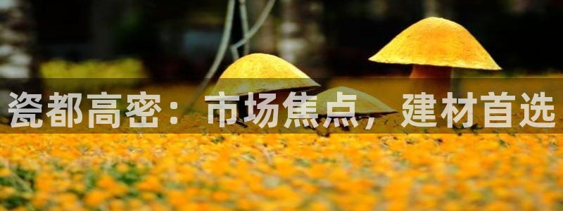 杏鑫平台在线注册怎么注册