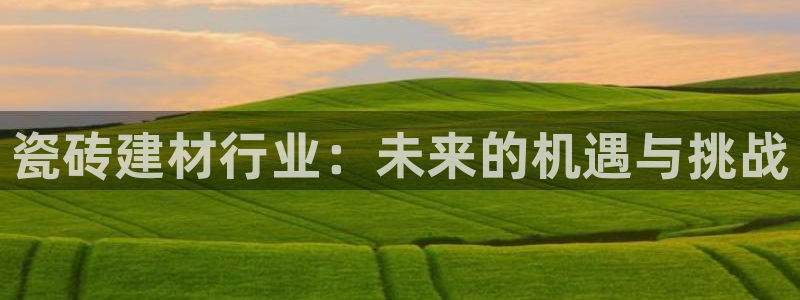 杏鑫官方平台怎么样啊