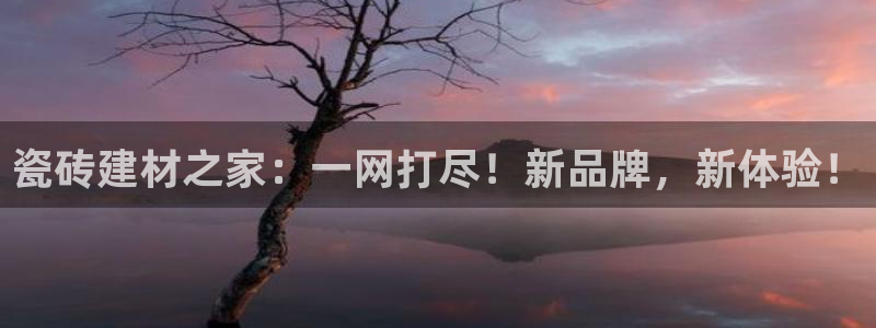 杏鑫平台注册登录