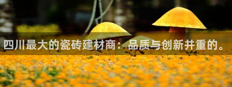 杏鑫平台代理注册登录不了怎么办呀苹果