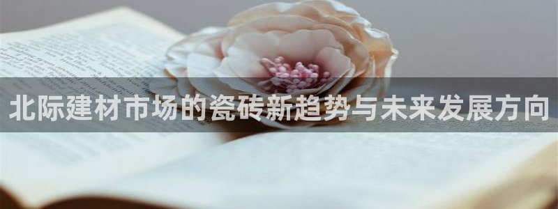 杏鑫平台代理注册登录不了怎么办呀苹果