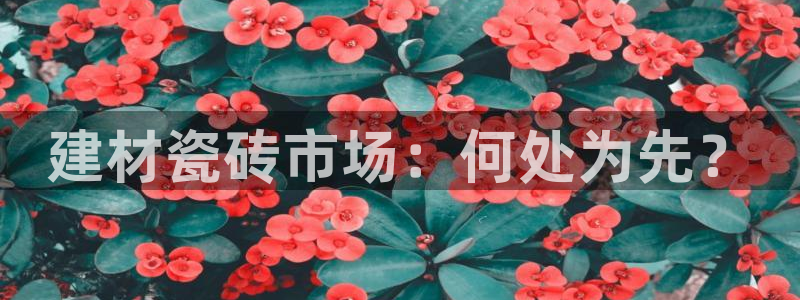 杏鑫平台怎么样黑钱吗