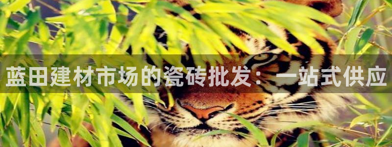 杏鑫娱乐官网下载